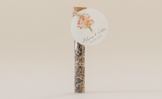 Tubes graines :univers