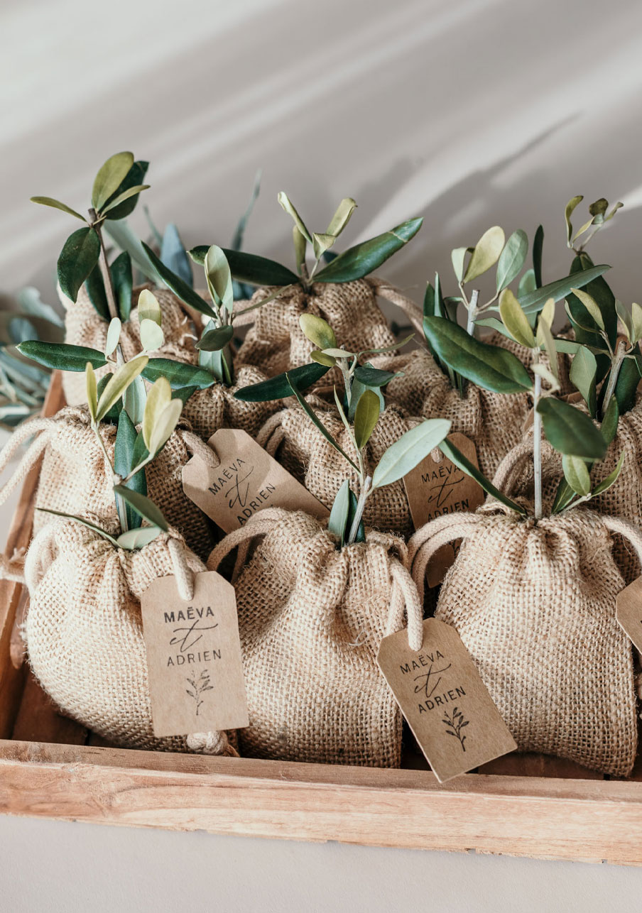 Offrir un arbre à planter, Cadeau personnalisé